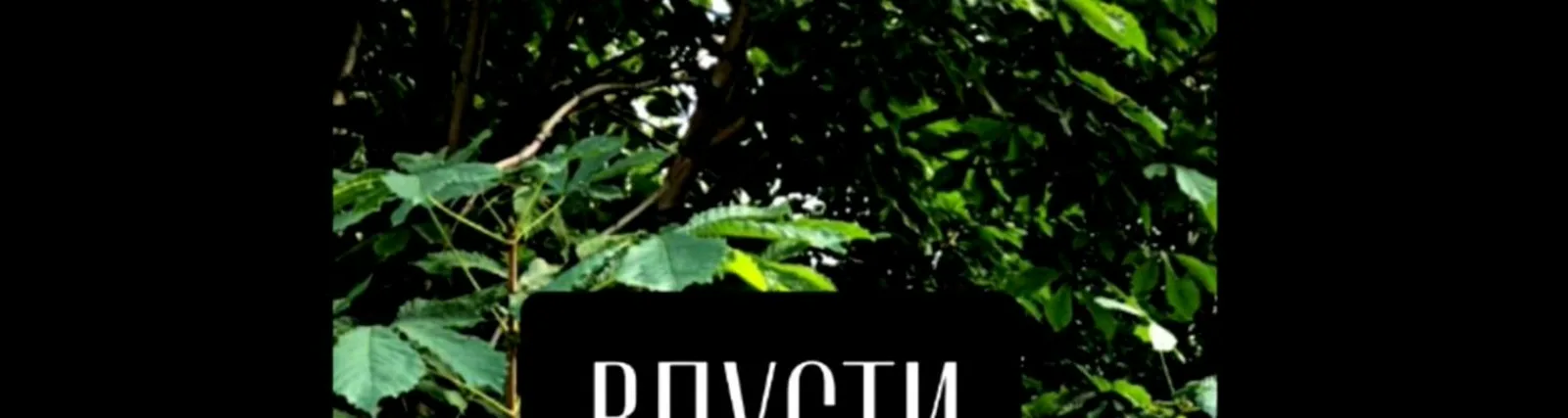 Юрий Тюрганов