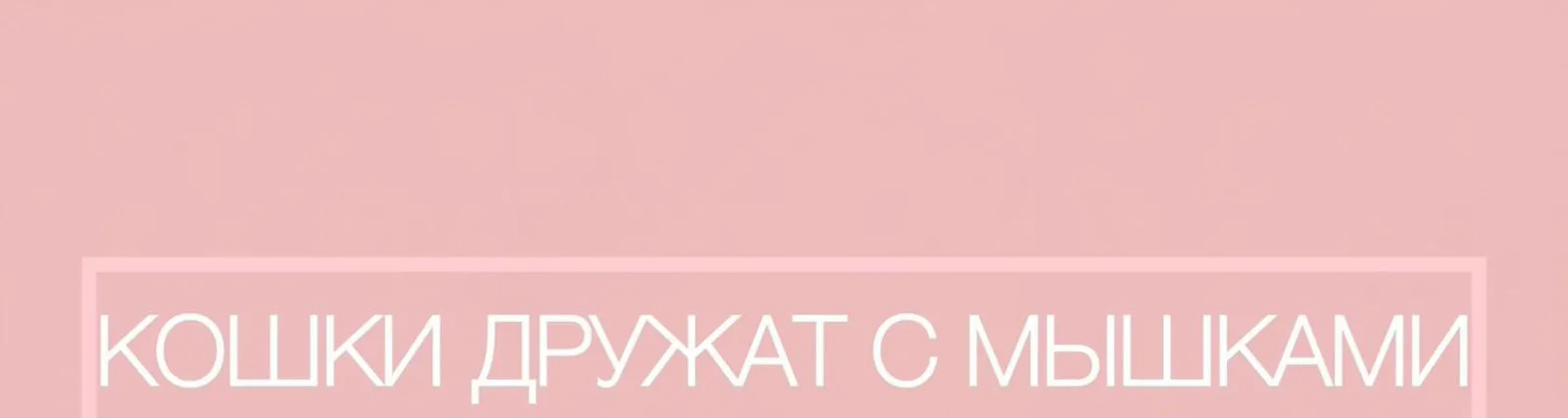 Фабрика KIDS