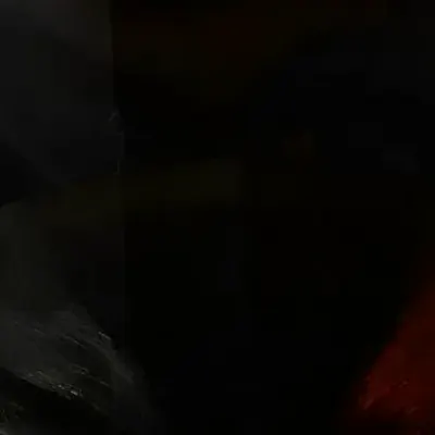 VEIN