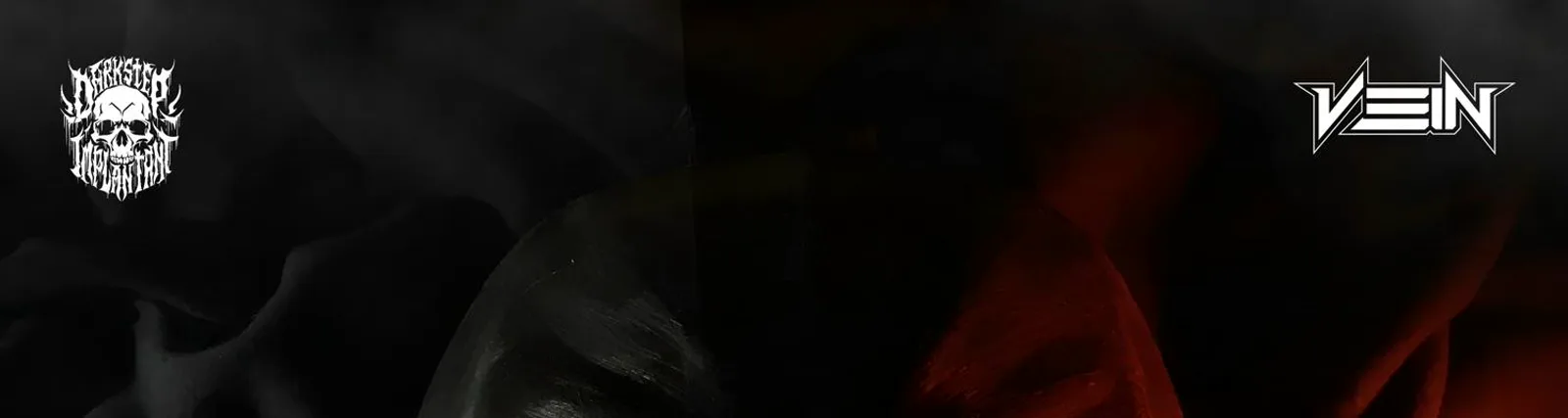 Фото исполнителя VEIN