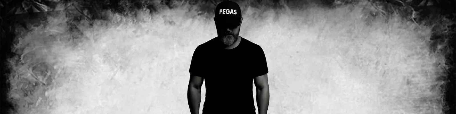 Фото исполнителя pegascinema