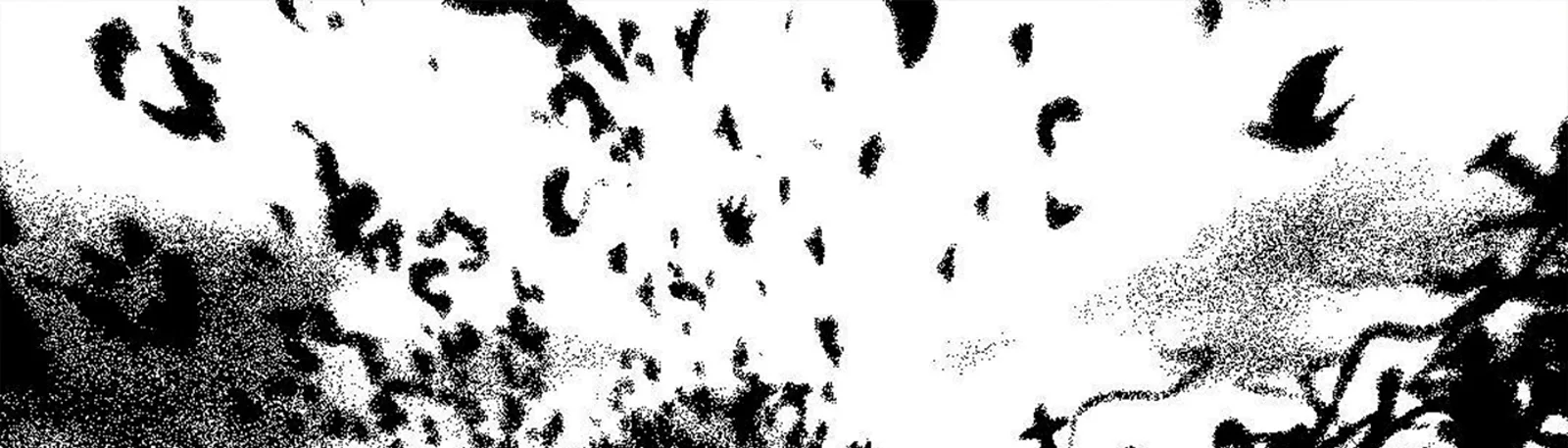 Фото исполнителя Harmony Heaven Cult