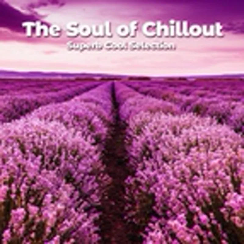Фото исполнителя Sofa Grooves