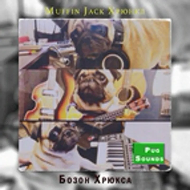 Фото исполнителя Muffin Jack Хрюнкл