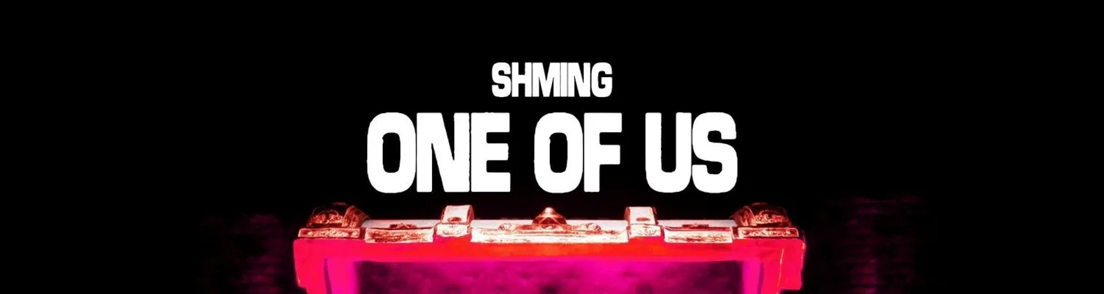 Фото исполнителя SHMING