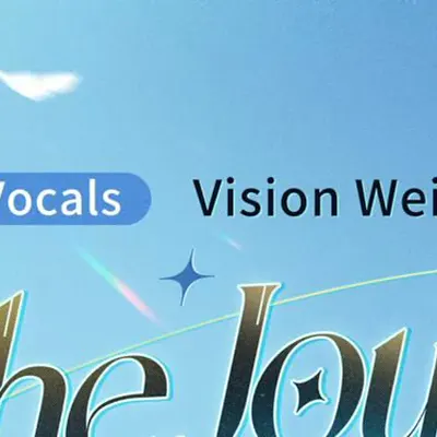 Vision Wei