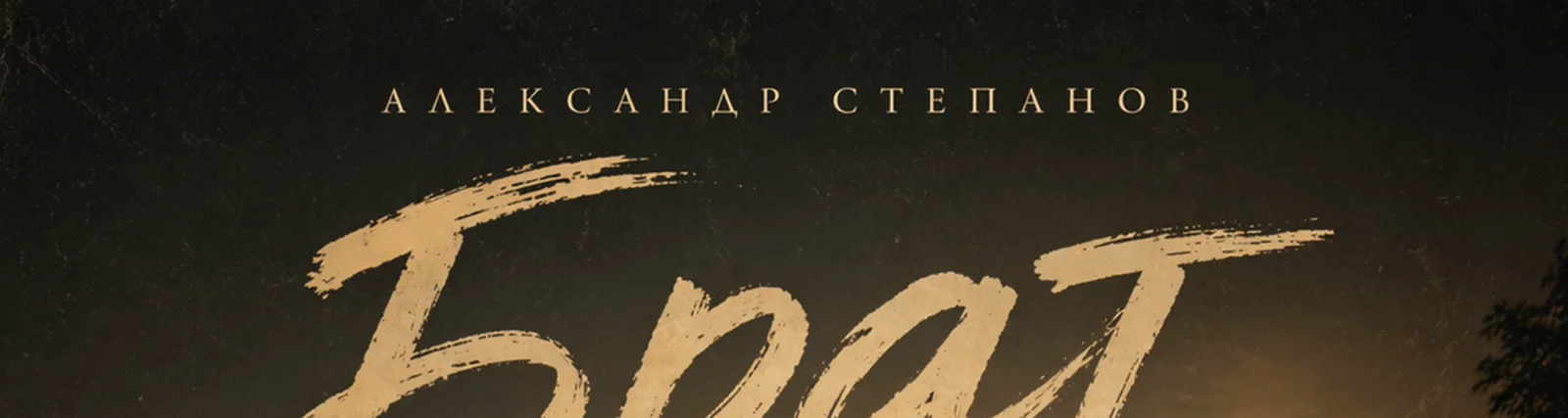 Александр Степанов