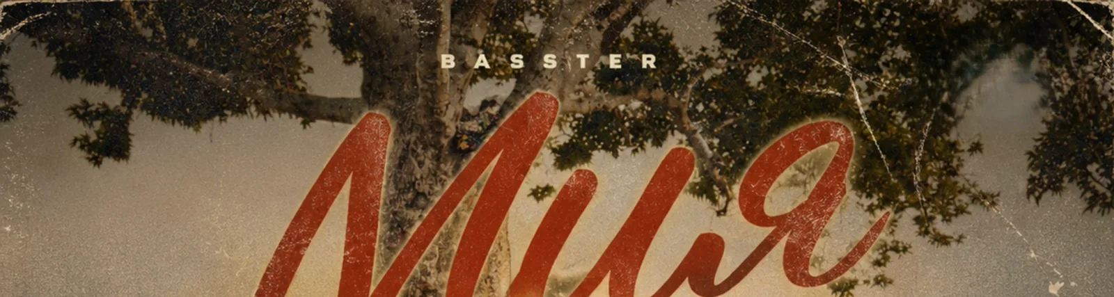 BASSTER