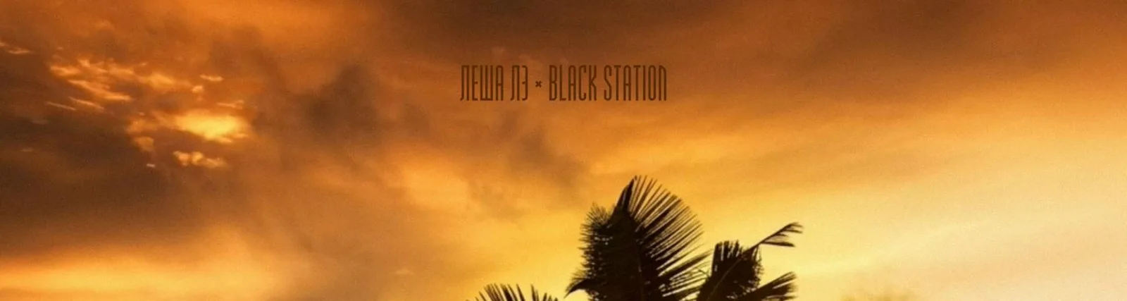 Фото исполнителя Black Station