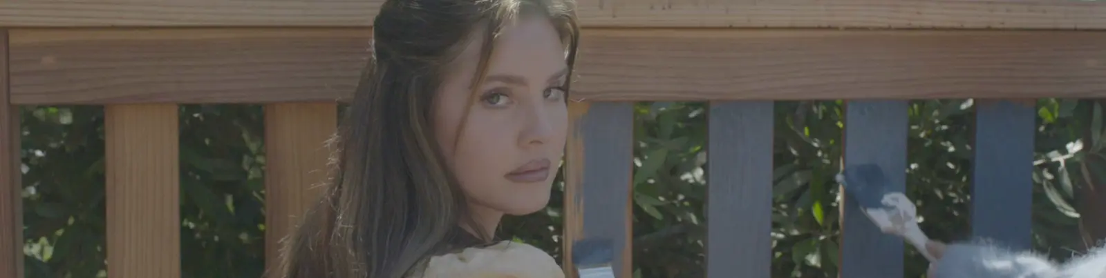 Фото исполнителя Lana Del Rey