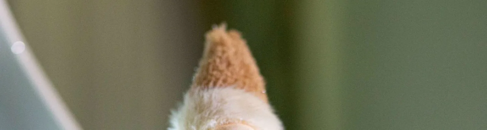 Фото исполнителя Анастасия Лун
