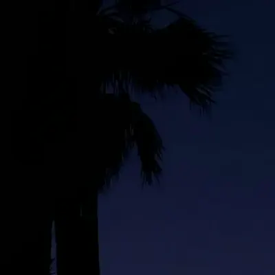 nightfall