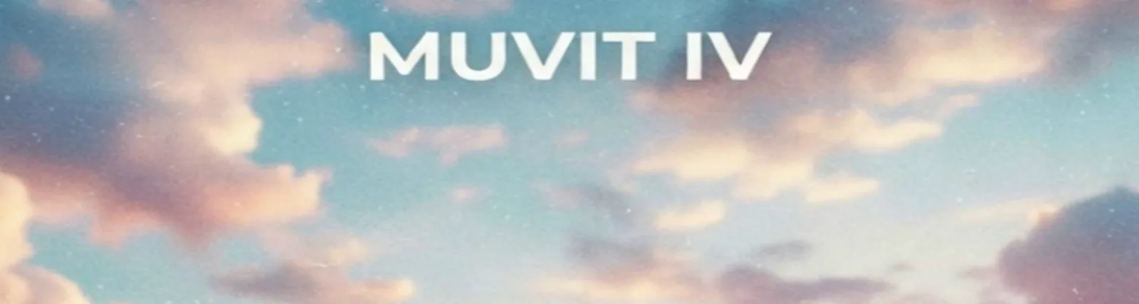 Фото исполнителя Muvit IV