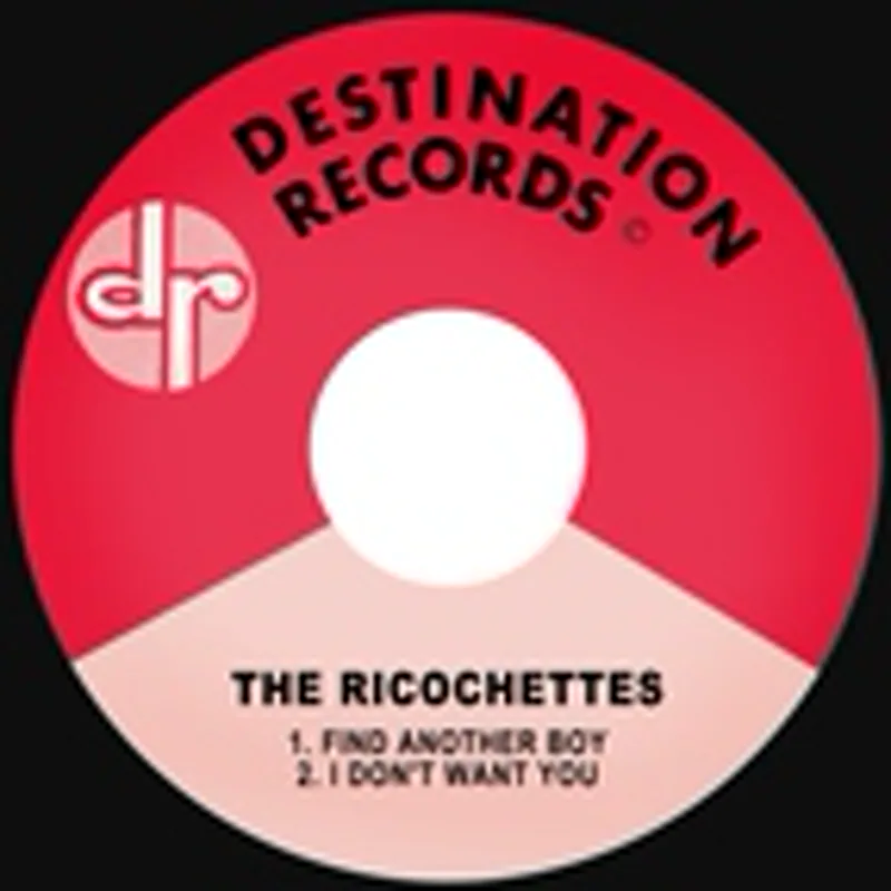 Фото исполнителя The Ricochettes