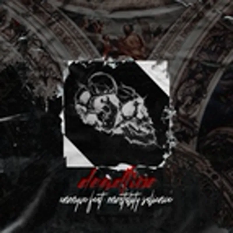Фото исполнителя mortality.salience