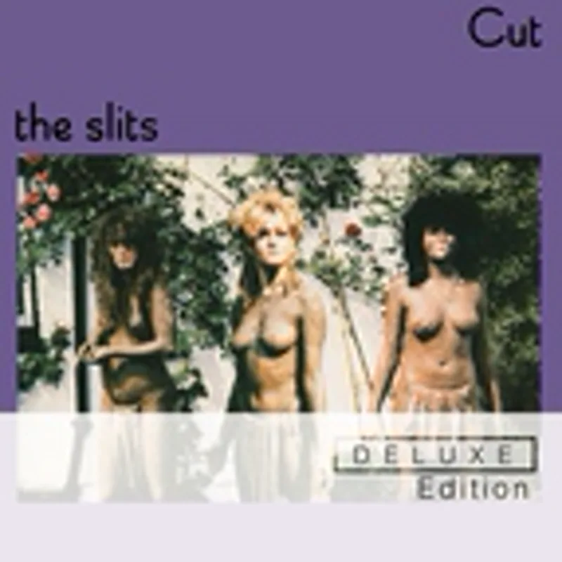 Фото исполнителя The Slits