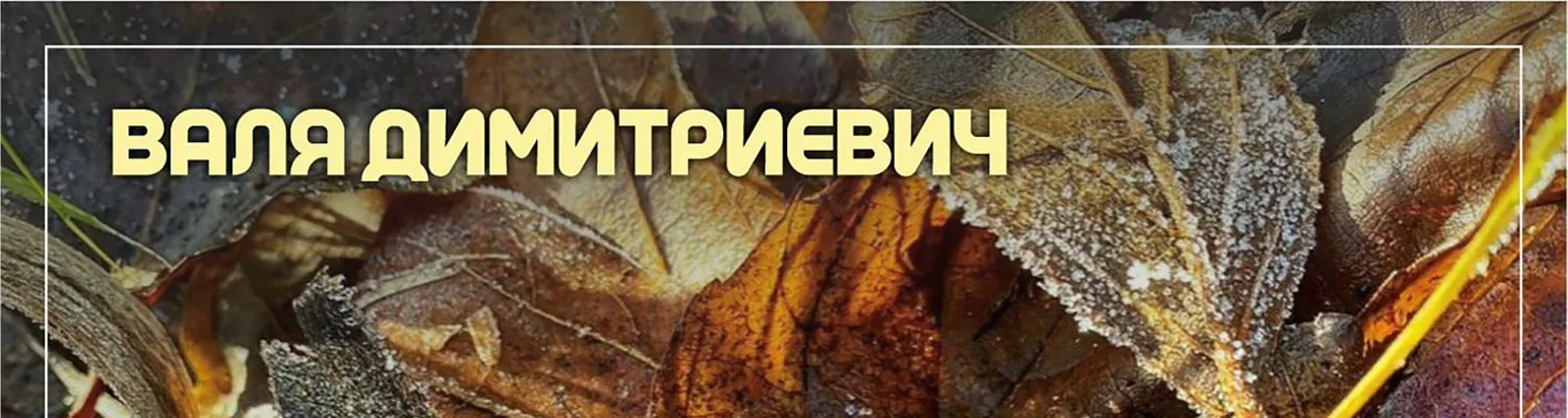 Фото исполнителя Валя Димитриевич