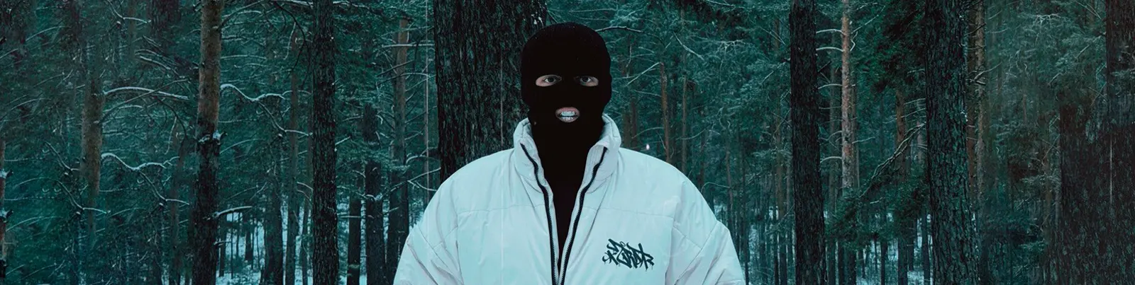 Фото исполнителя MIRABRO