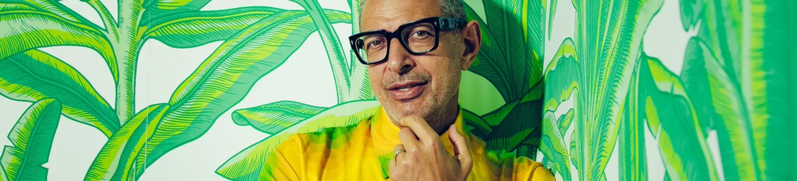Фото исполнителя Jeff Goldblum & The Mildred Snitzer Orchestra