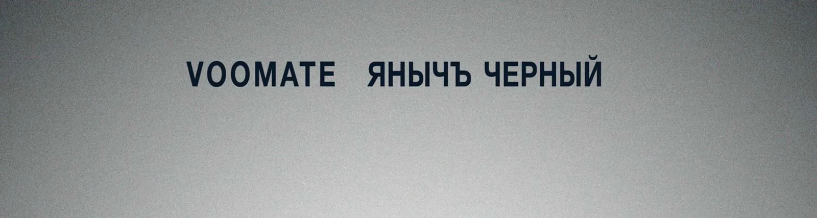 Фото исполнителя Voomate