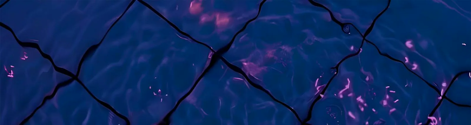 iiji