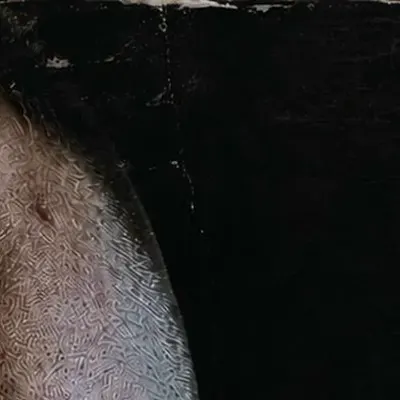 GOOSE