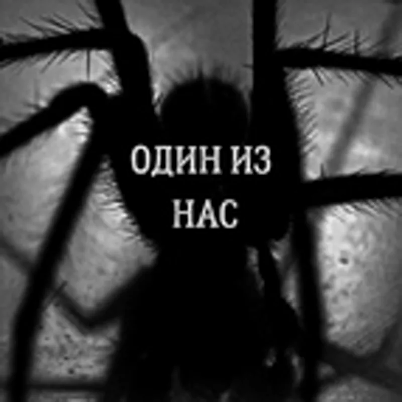 Фото исполнителя INKO
