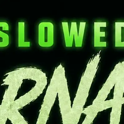 Slow Lee