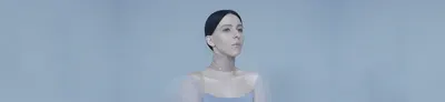 Palina