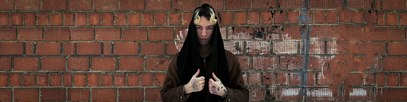 Фото исполнителя skultr.