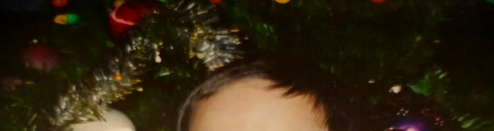 PANDI