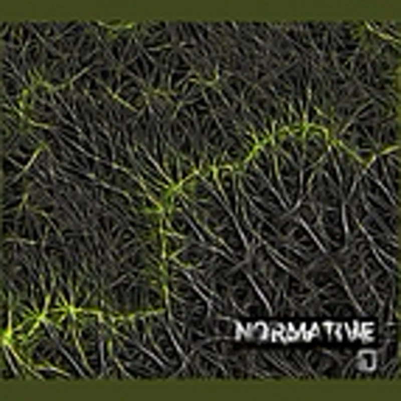 Фото исполнителя Normative