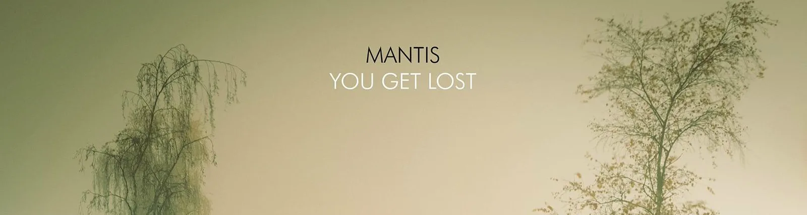 Mantis
