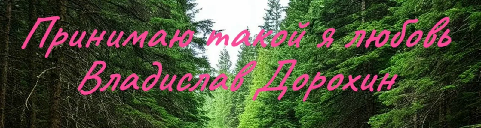 Фото исполнителя Владислав Дорохин