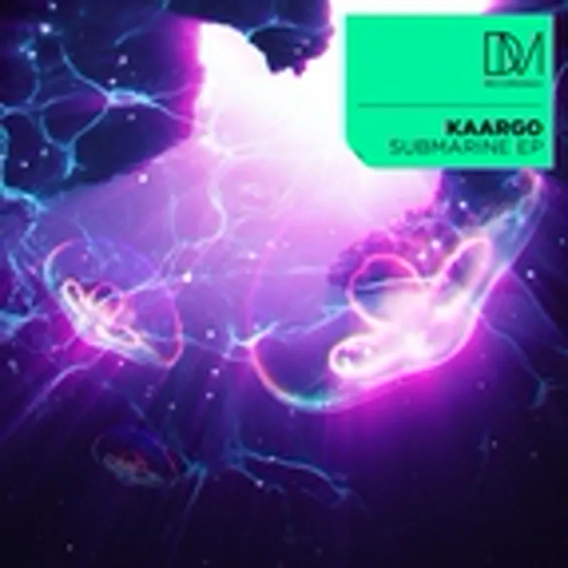 Фото исполнителя KAARGO