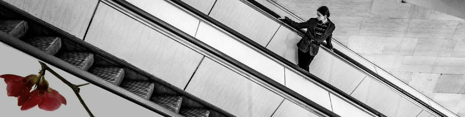 Фото исполнителя Polysemantica