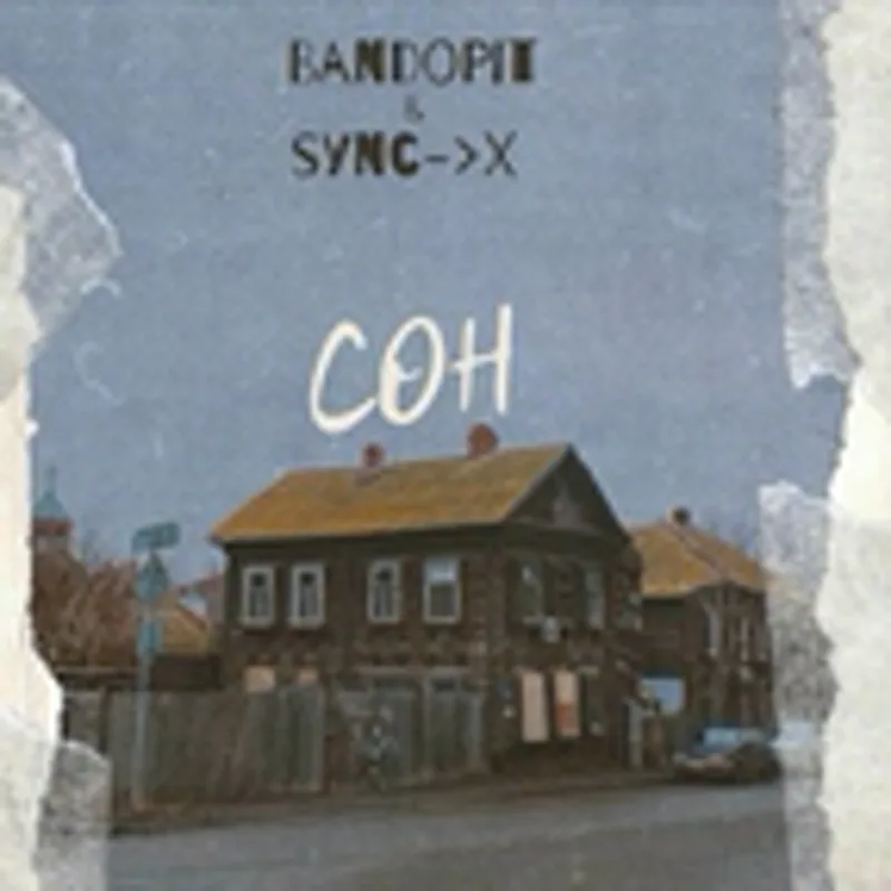 Фото исполнителя SYNC-X