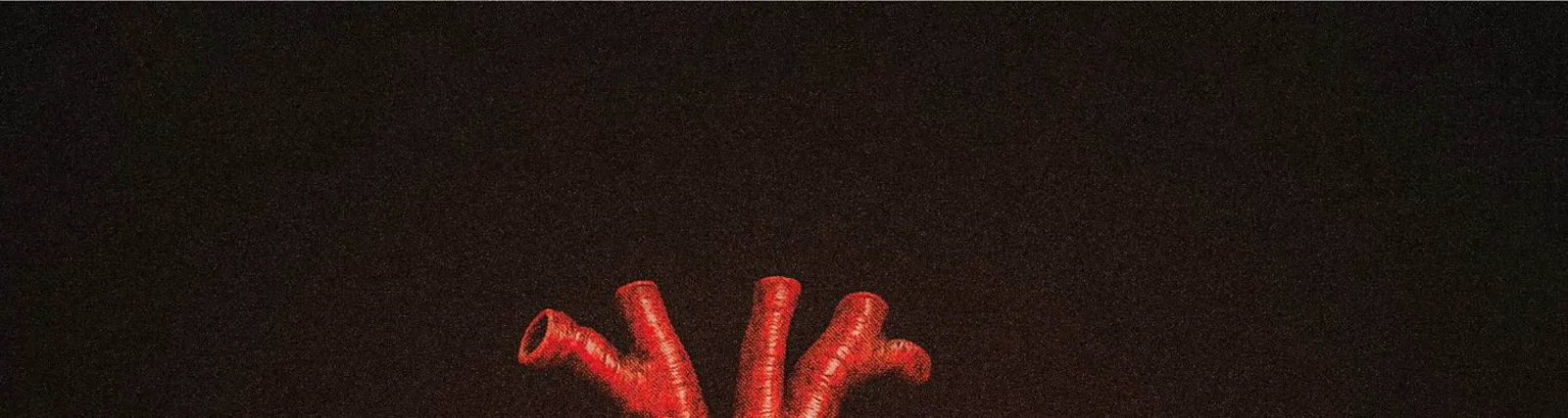 Kriek