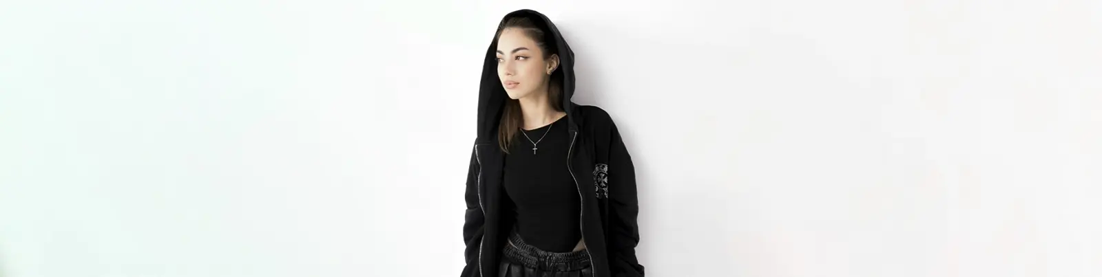 Фото исполнителя ALVI