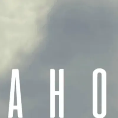 Elmanxo