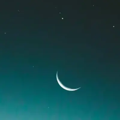 MAKSUT
