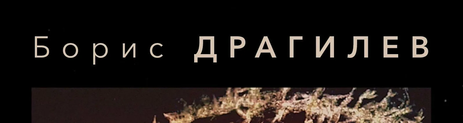 Фото исполнителя Борис Драгилев