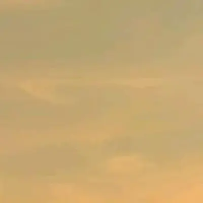 Salem Focus