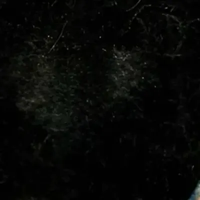attxchments