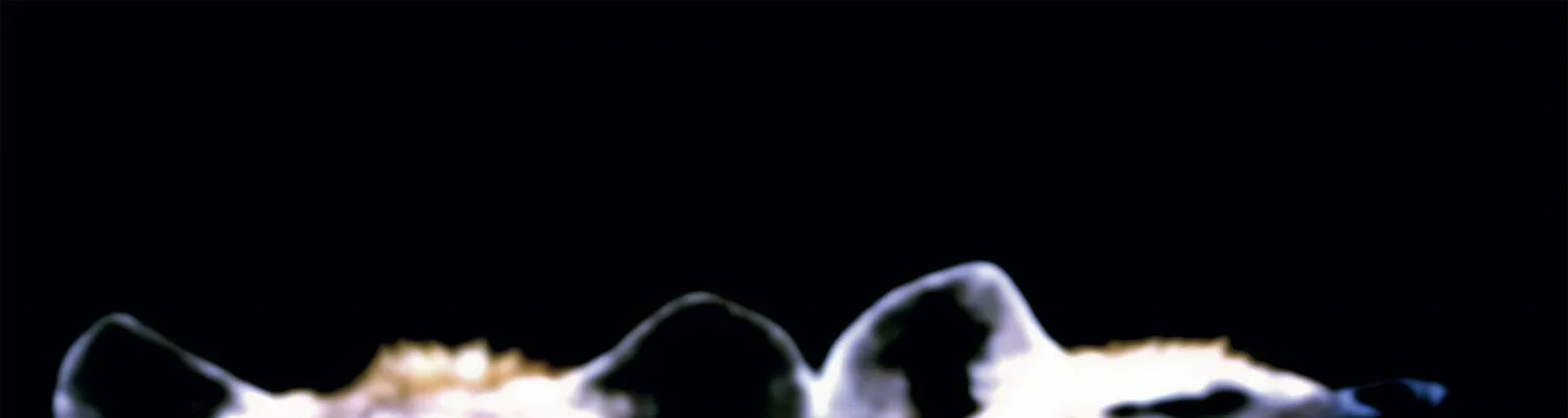 Фото исполнителя DDL