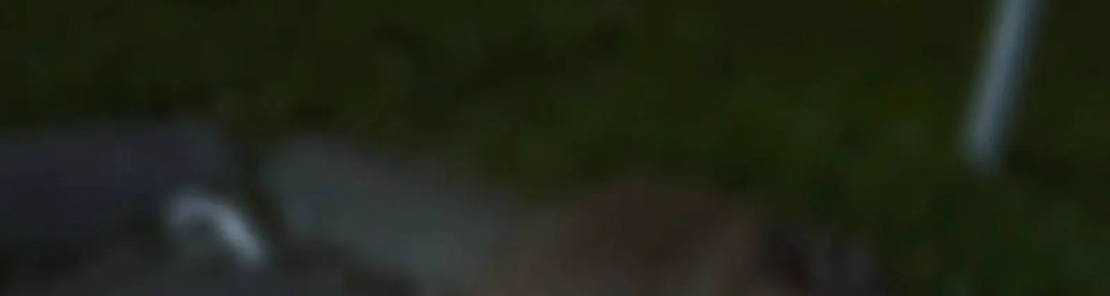 #keyoo