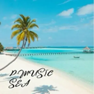 D-Music
