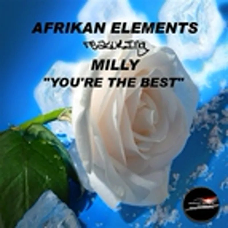 Фото исполнителя Afrikan Elements