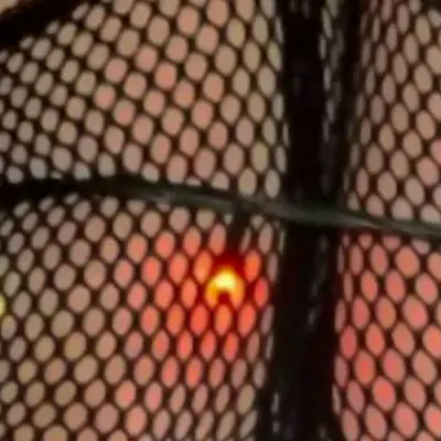 Маша Новикова