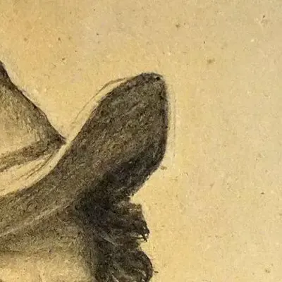 Johann Strauss II